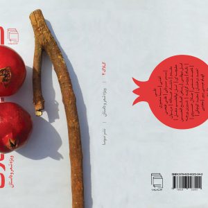 گلاک ۲